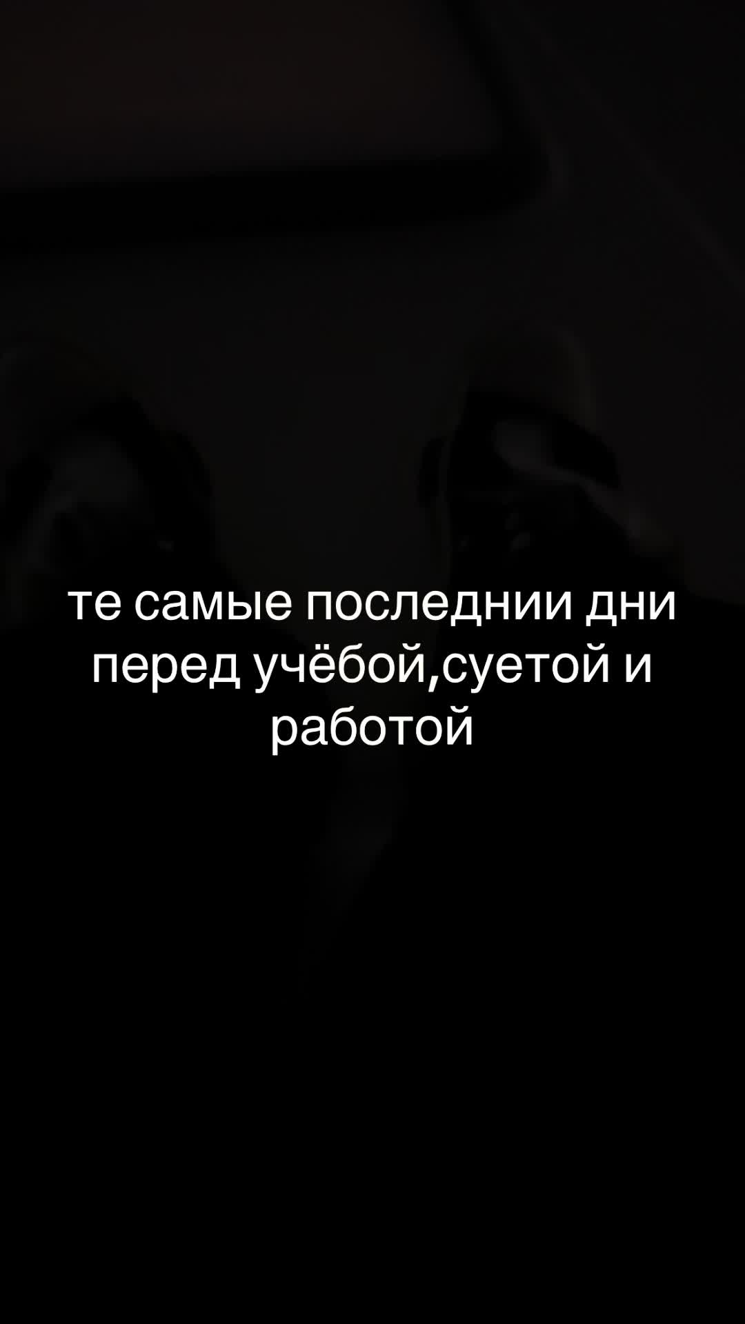 @denis_fungus