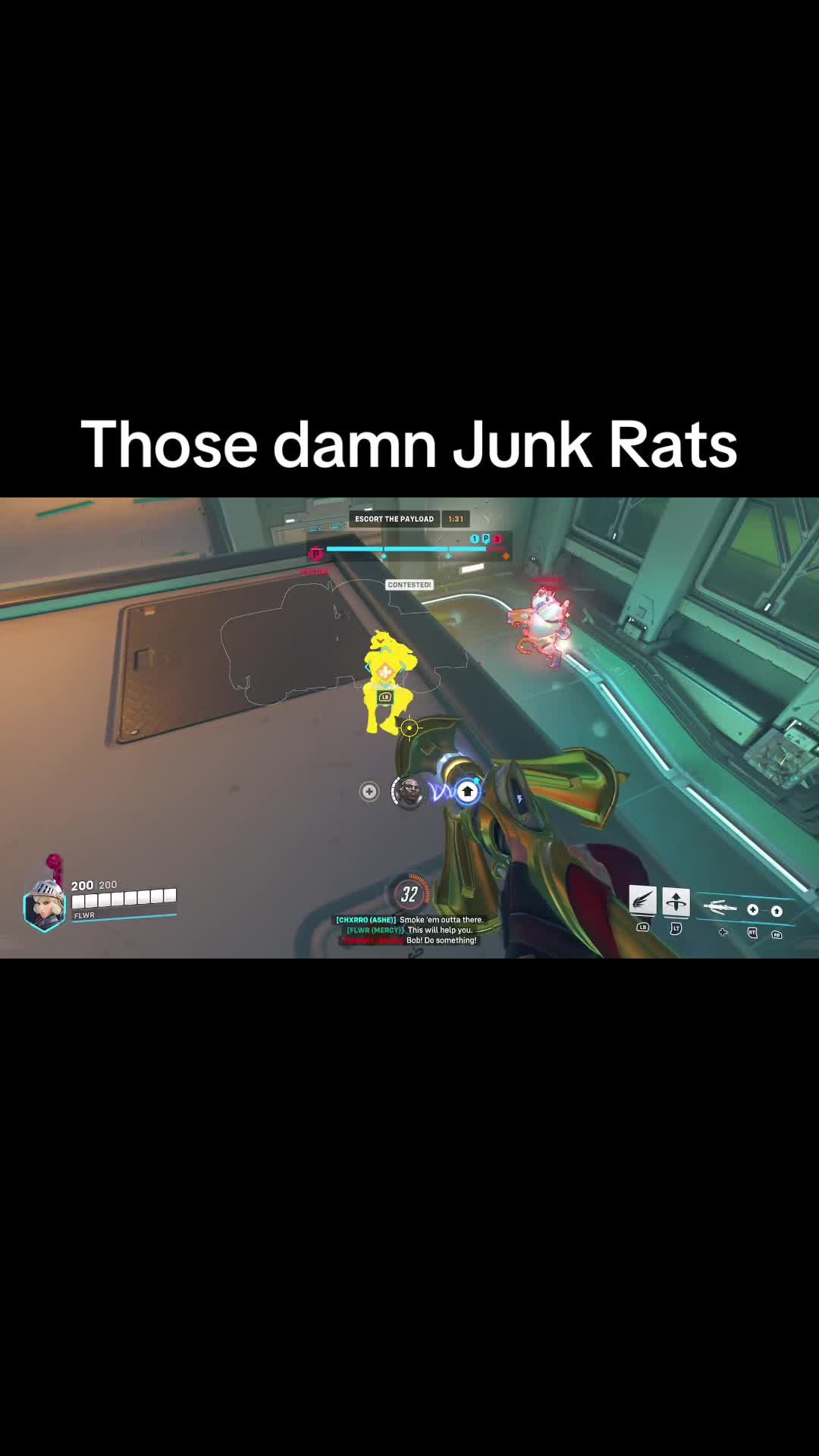 @Juno Flwr