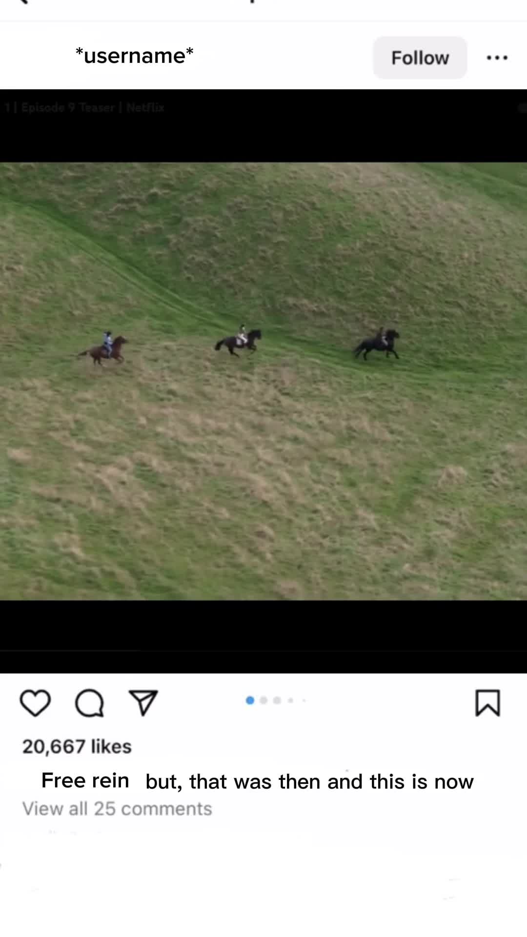 @FREE_REIN_ISMYLIFE FR🤭🐴🐴