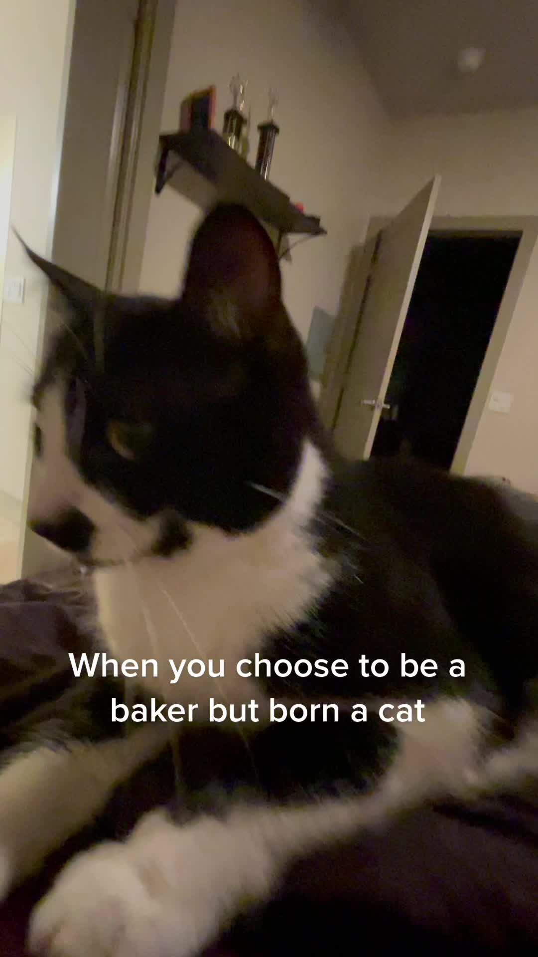 @Raja and Floof