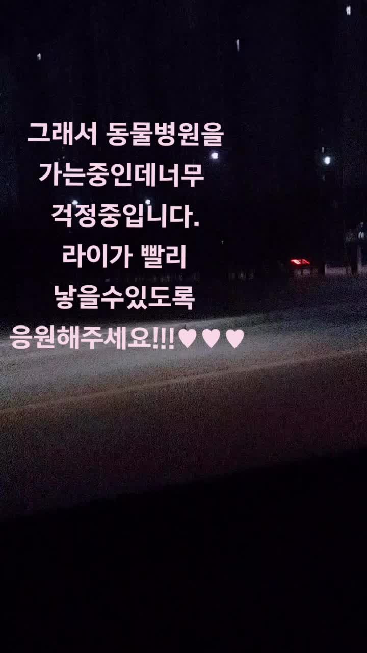 @땡롬쓰 해안경(?)