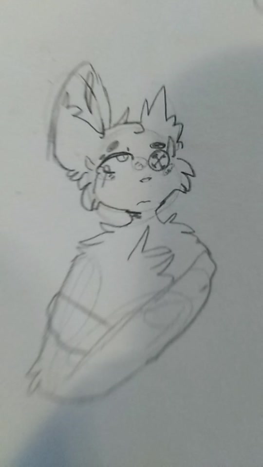 @Chill ᴘᴀᴘ