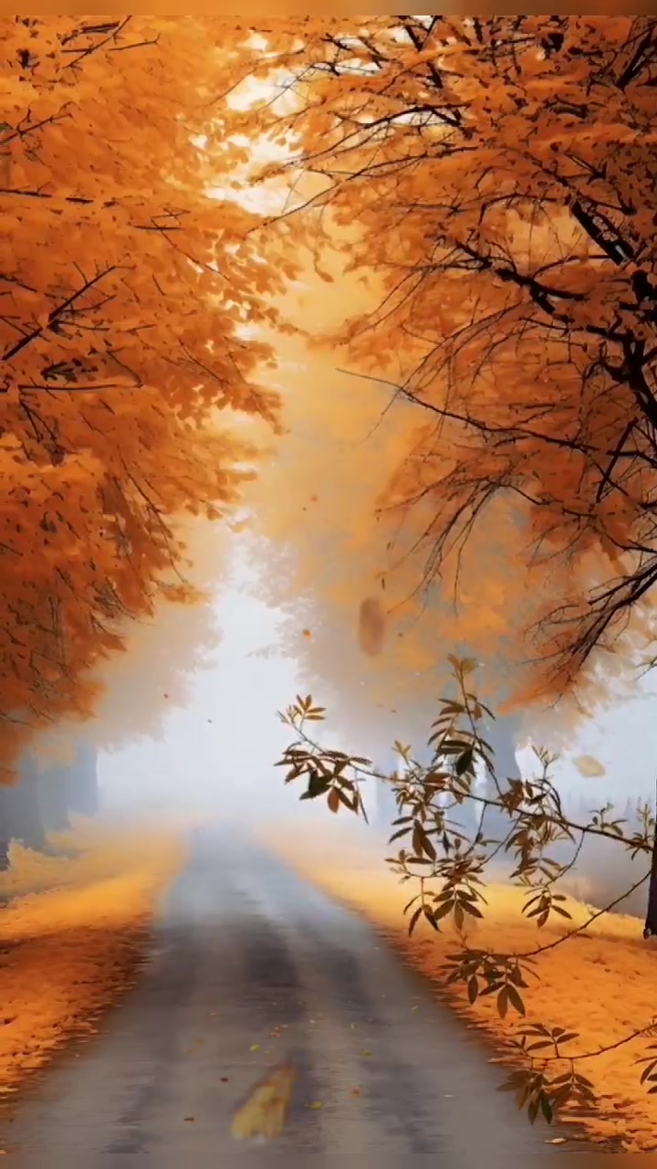 @Natural scenery