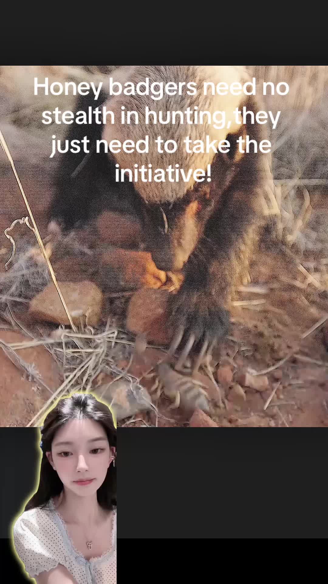 @aboutanimals