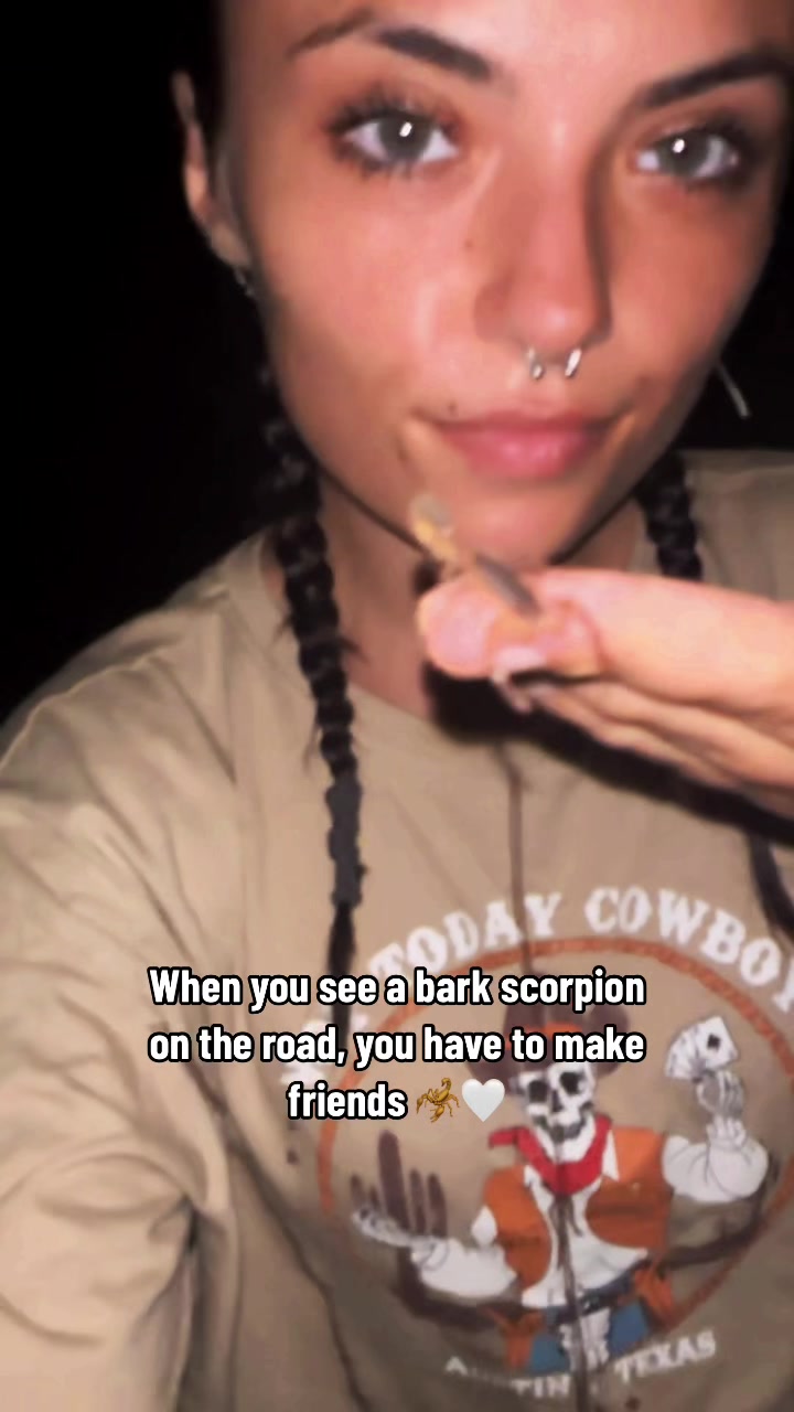 @Kira 🦊