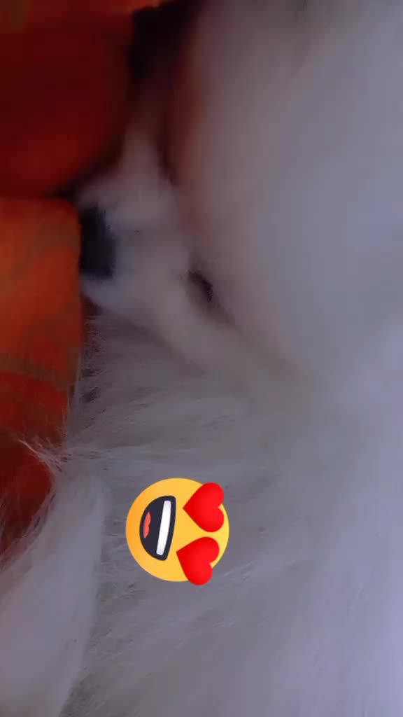 @♥가을이네♥