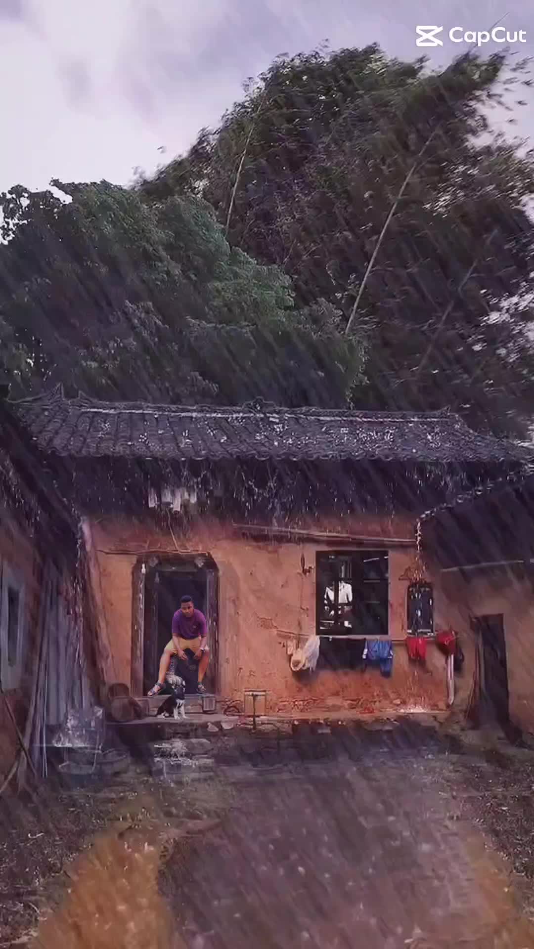 @🦅ⓢⓗⓐⓝ🦅