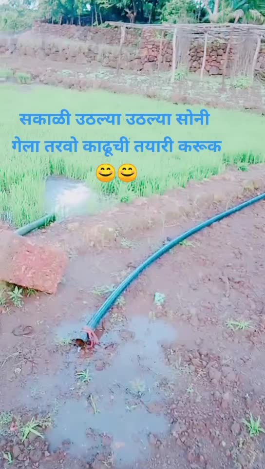 @konkanchi Pari🧚♂