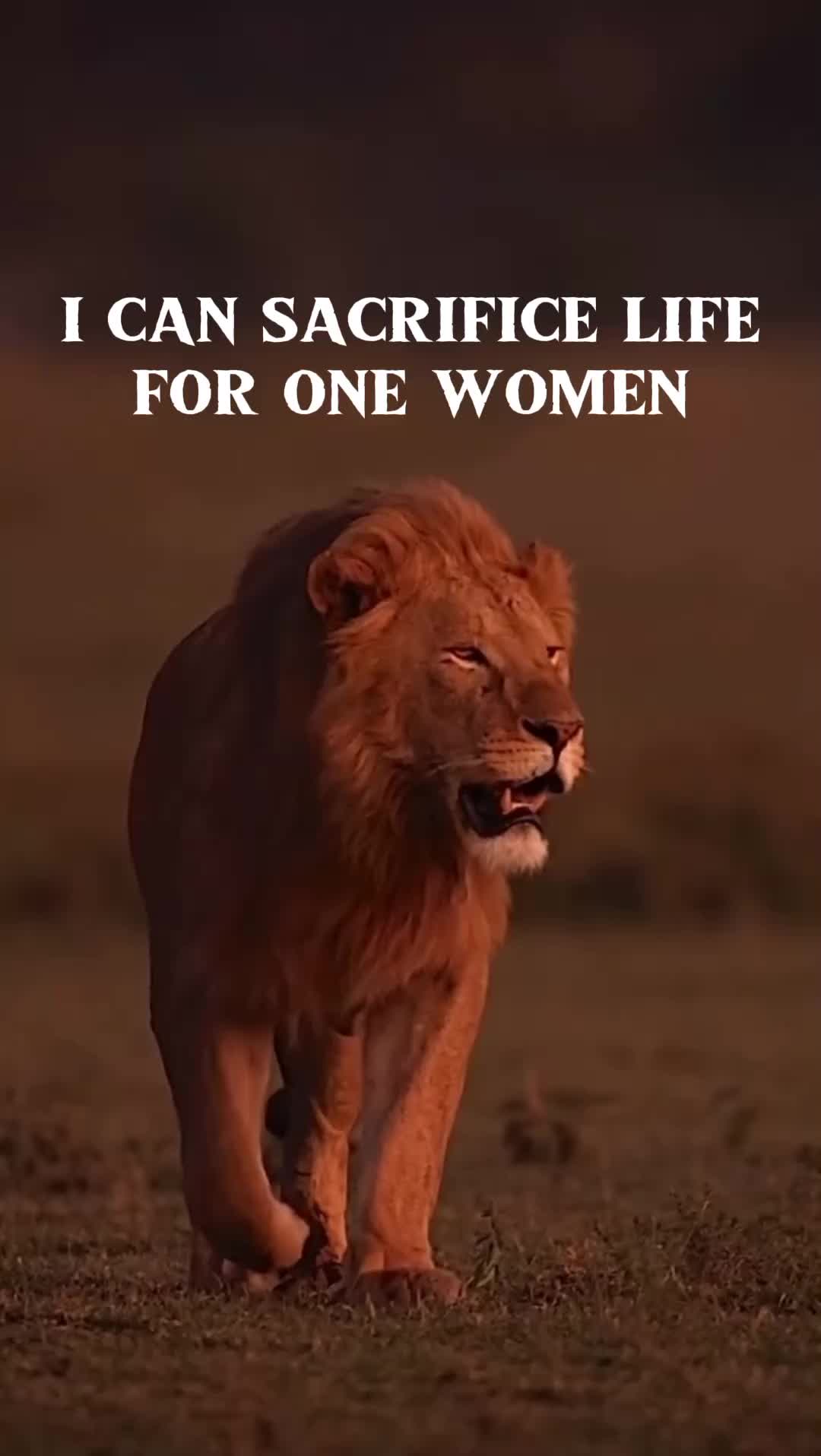 @Leجend