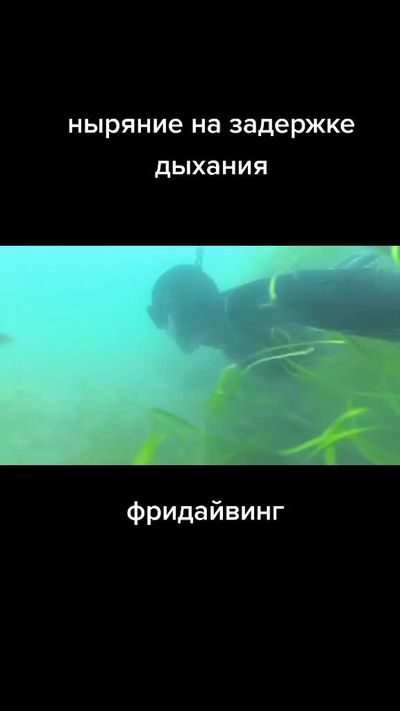 @Камчатка на ладони