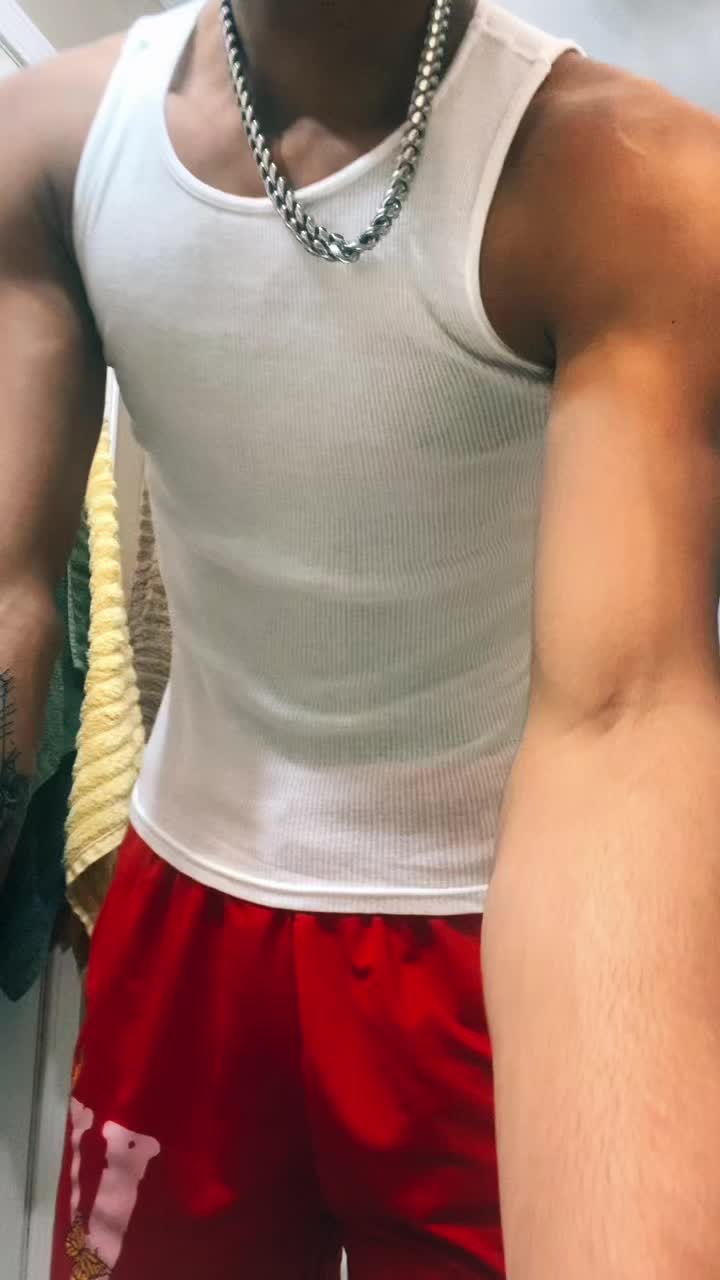 @Pitviporrob