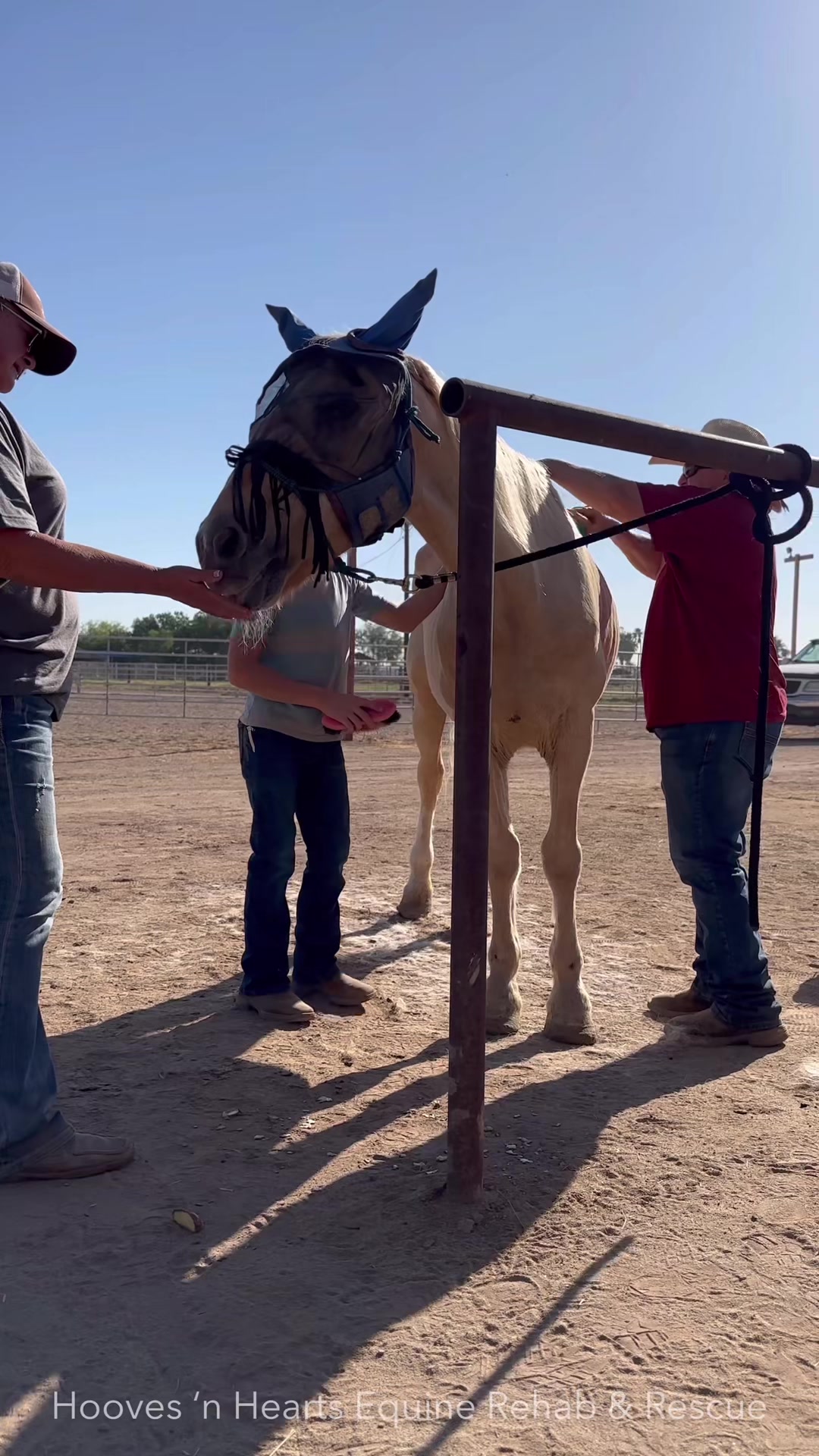 @Hooves &lsquo;n Hearts Equine Rescue