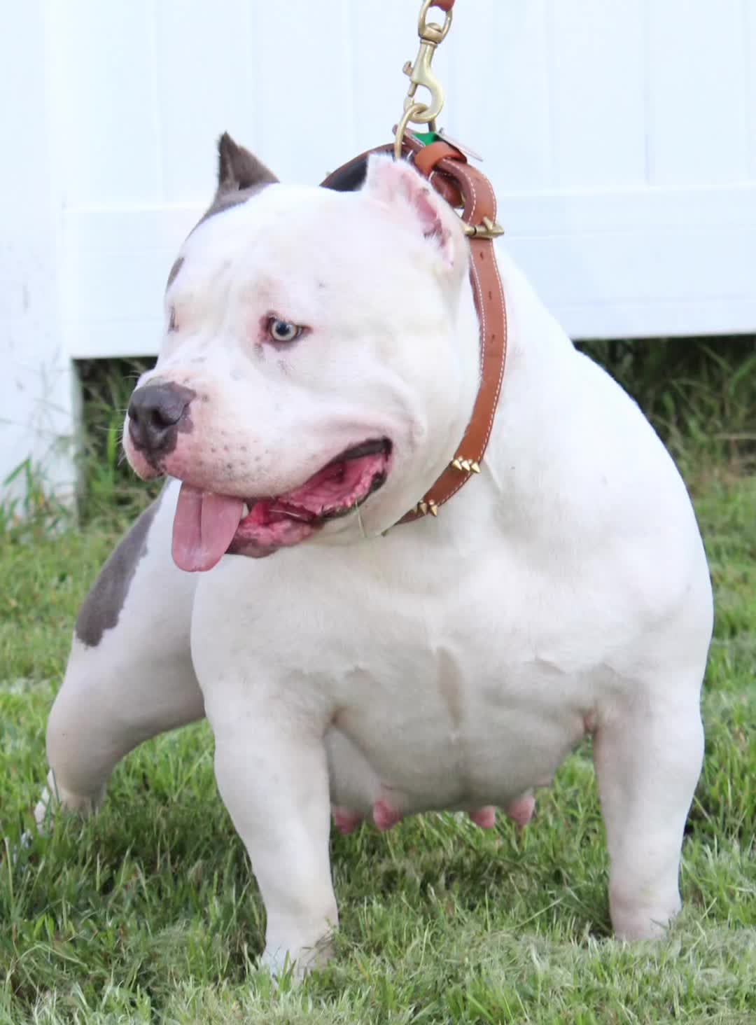 @BullMassProminence