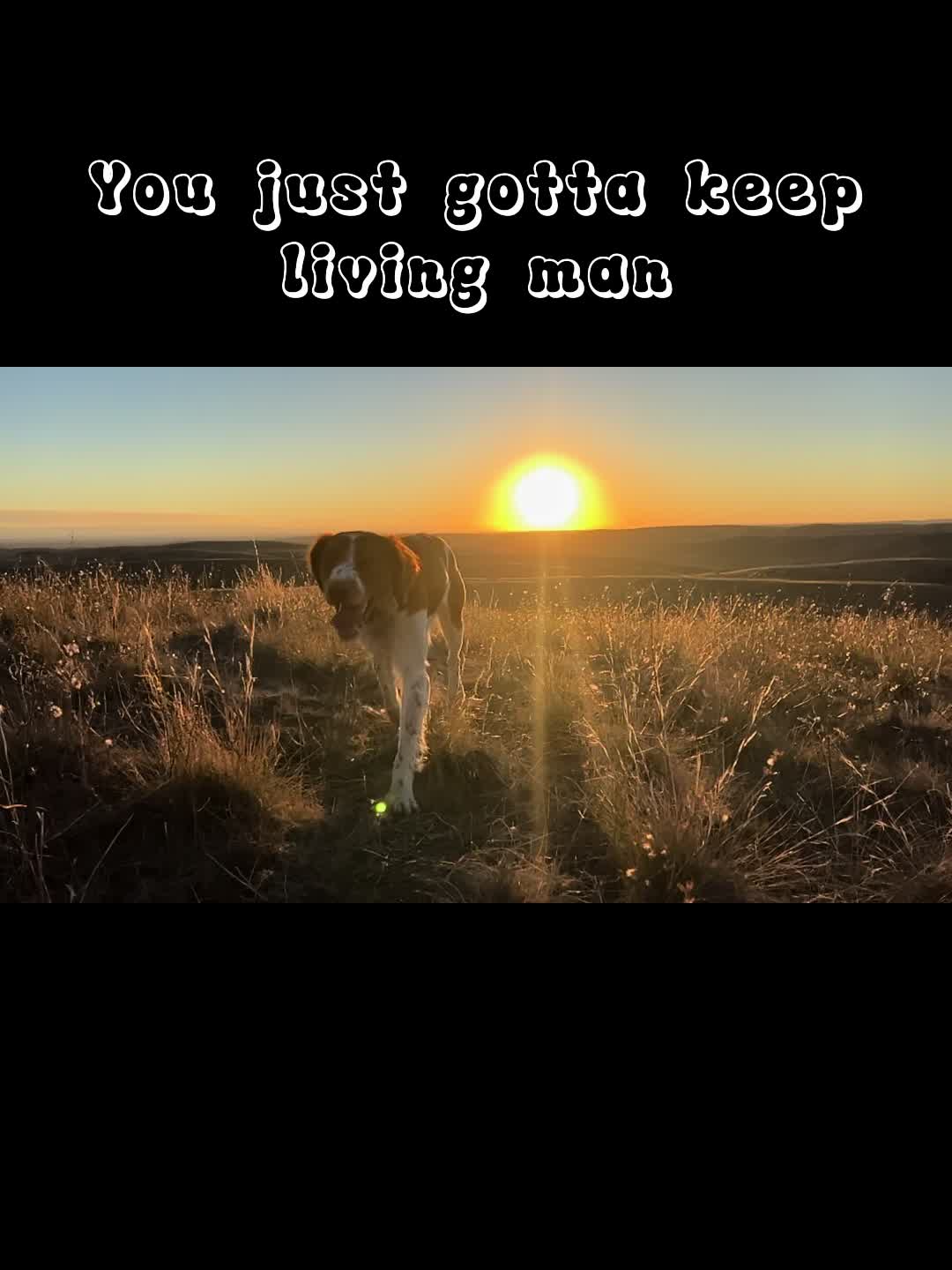 @Sophia