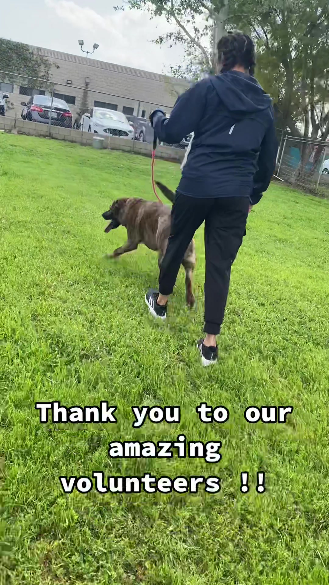 @Ramona Pets