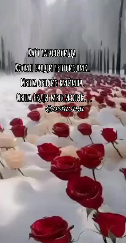 @Океан