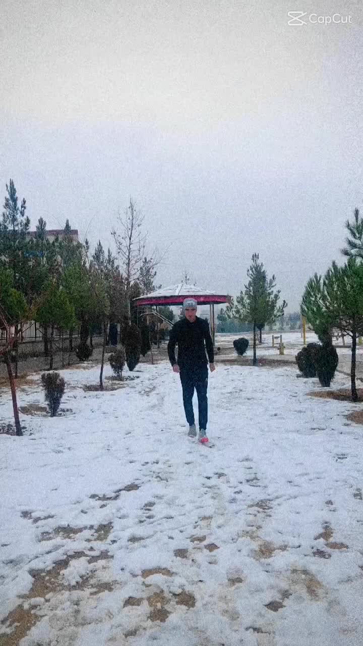 @Ziba gull