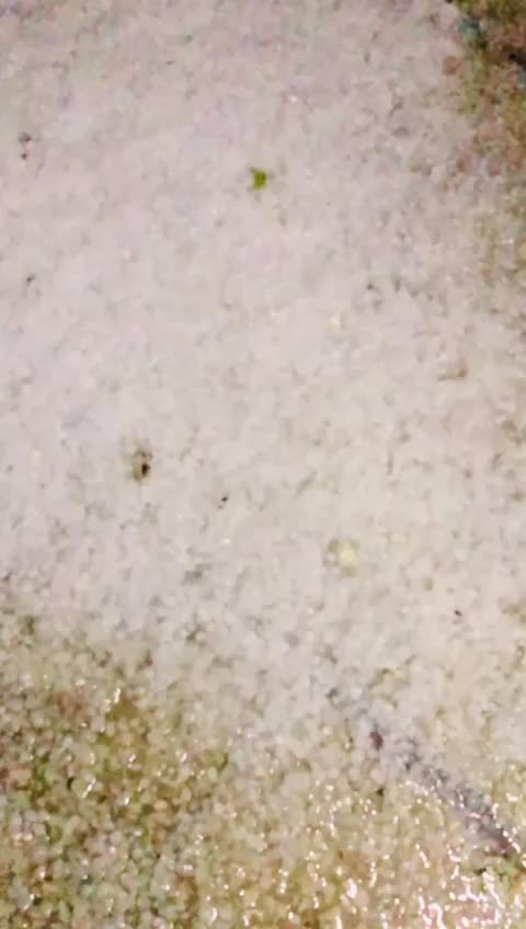 @Haider_Rajpoot