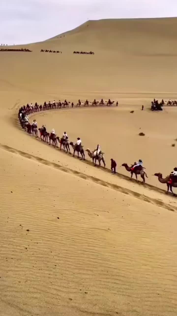 @user63058147062