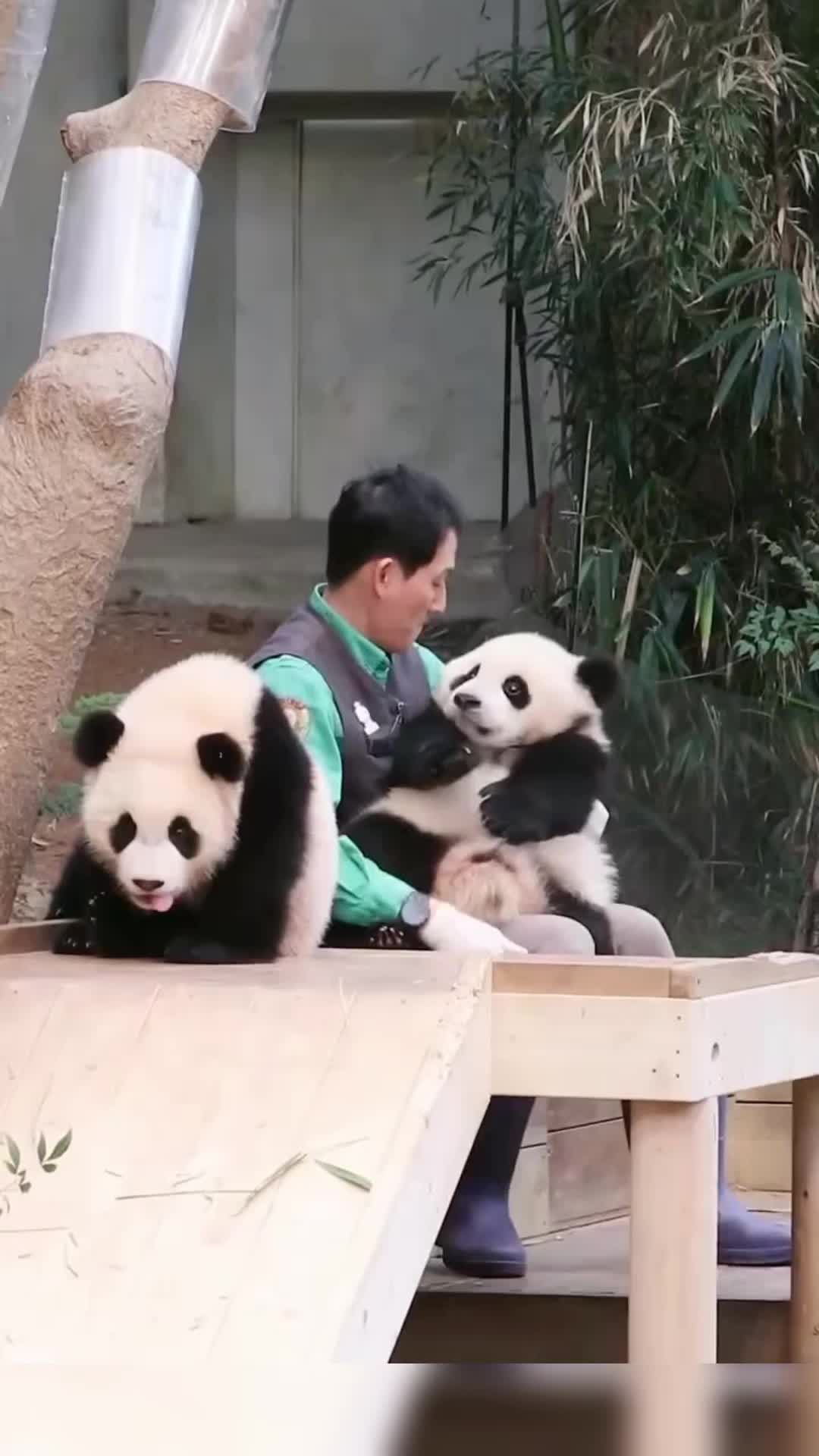 @meowhhcdntb