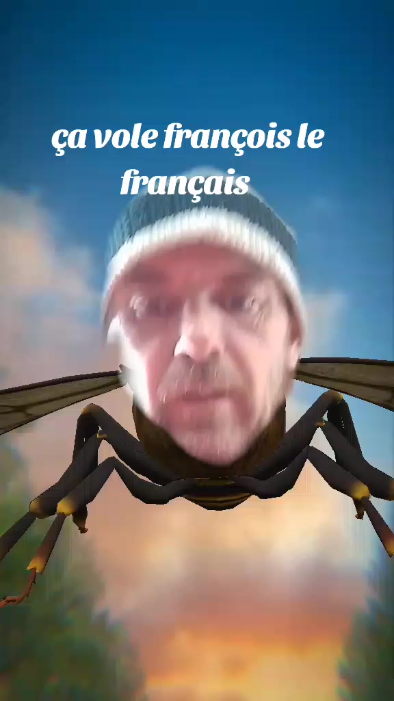 @Fran&ccedil;ois le fran&ccedil;ais