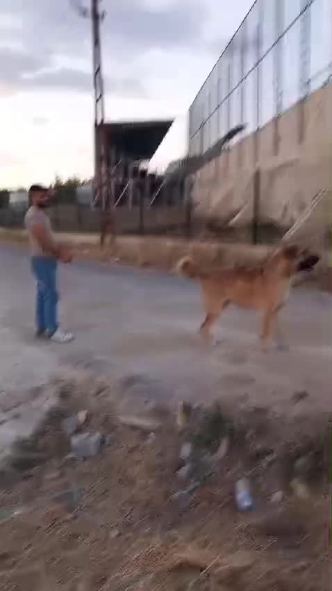 @Resul Yıldırım