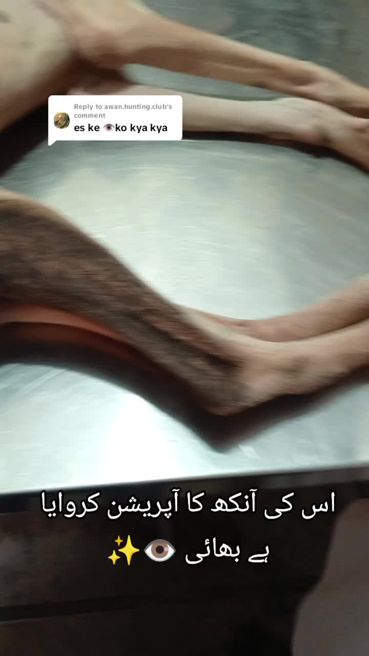 @🖤 شیرأز پٹھان ✔️