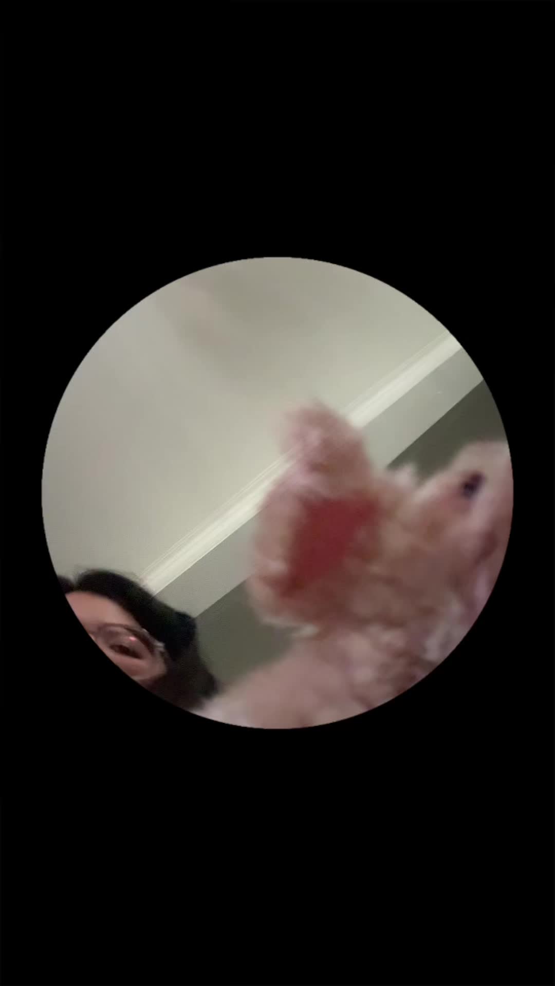 @H.