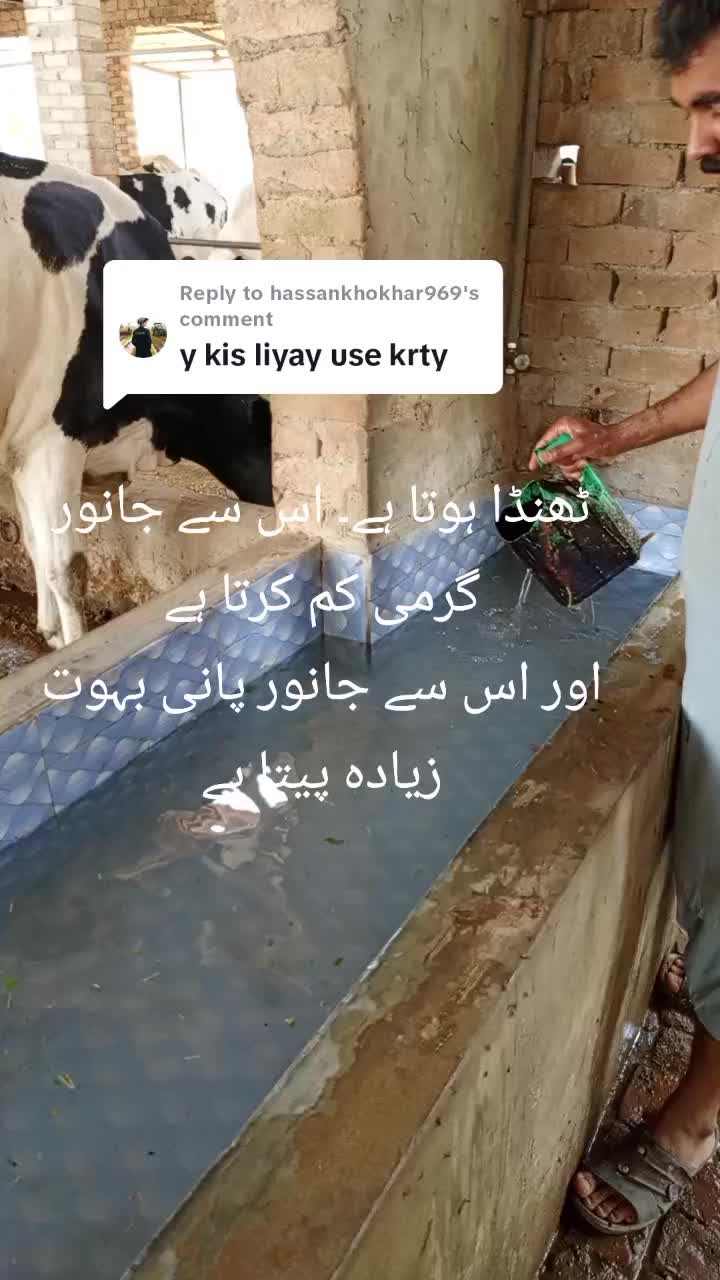 @Miandairyfarm