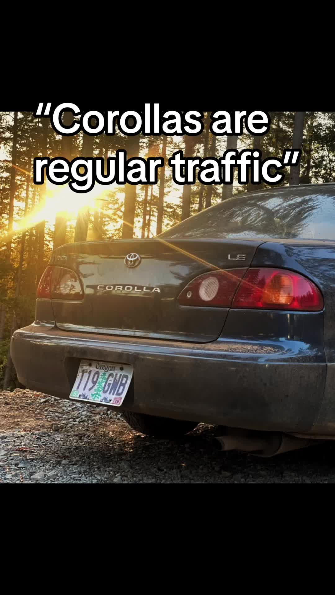 @Gambler 500
