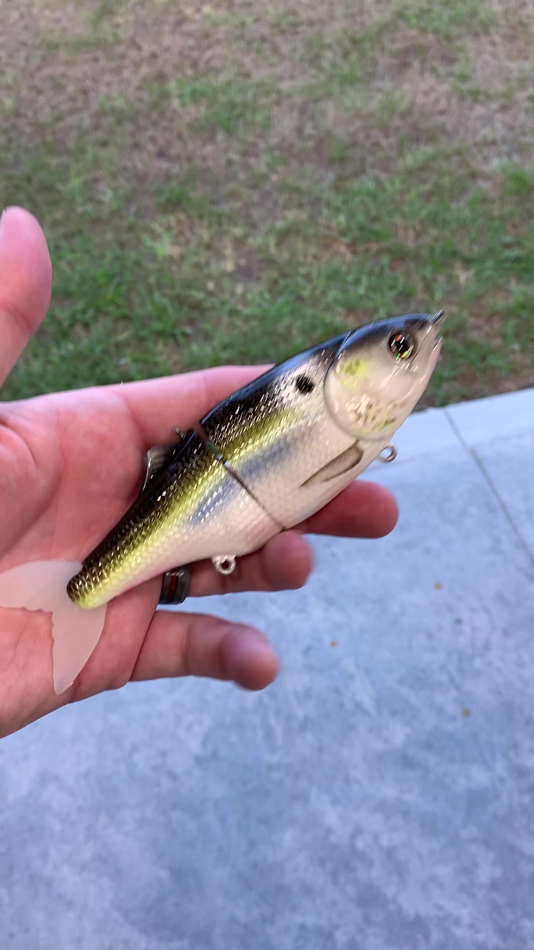 @grovesbaitco