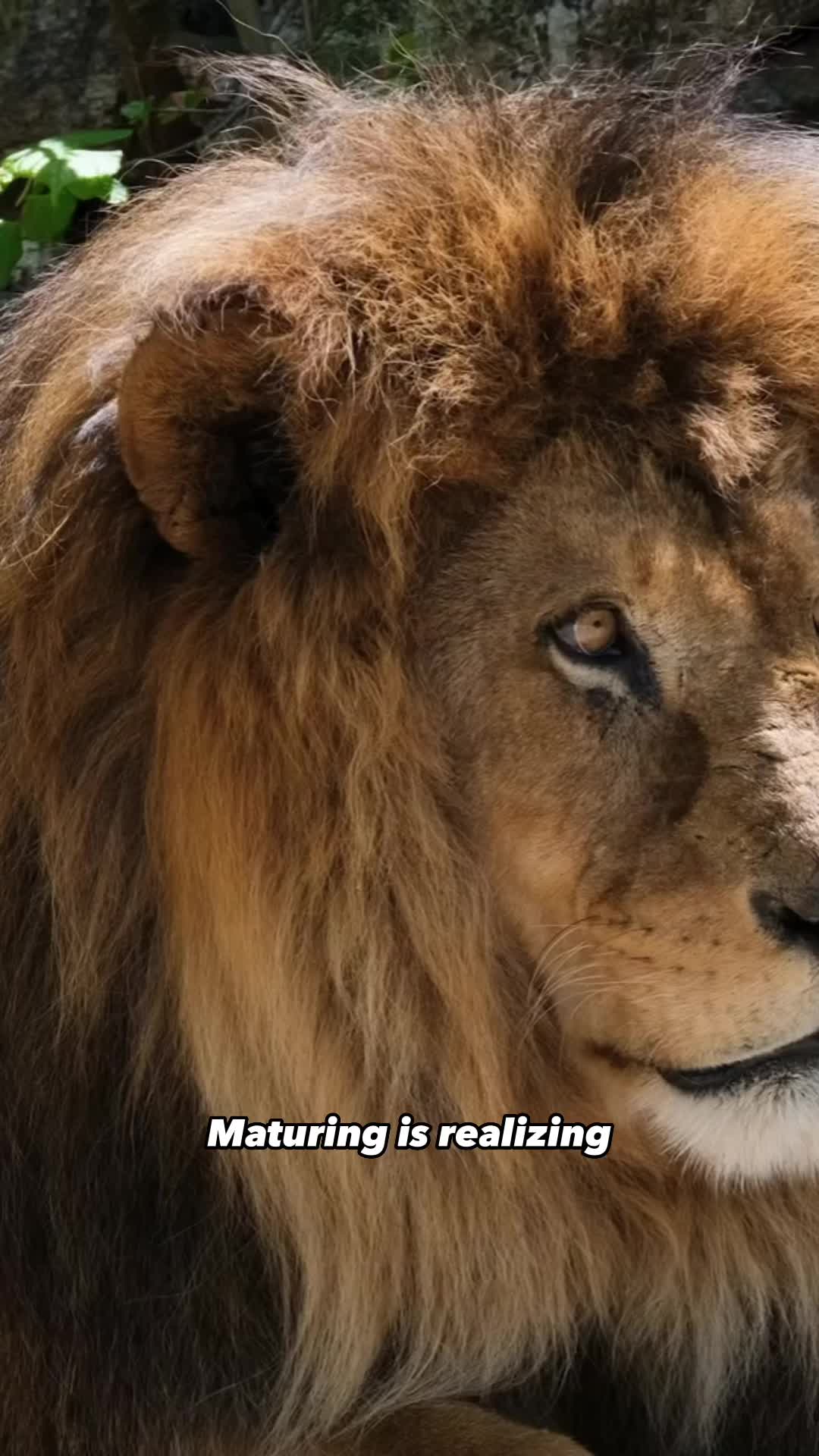 @HerculeanMotivation