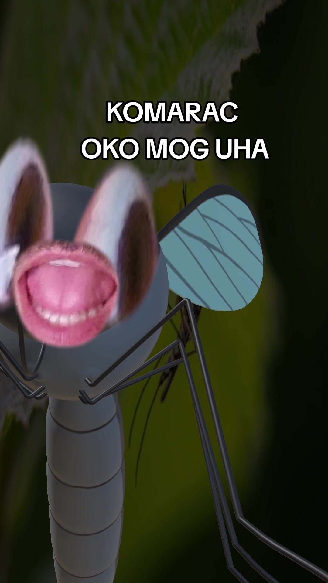 @PITTPETRO