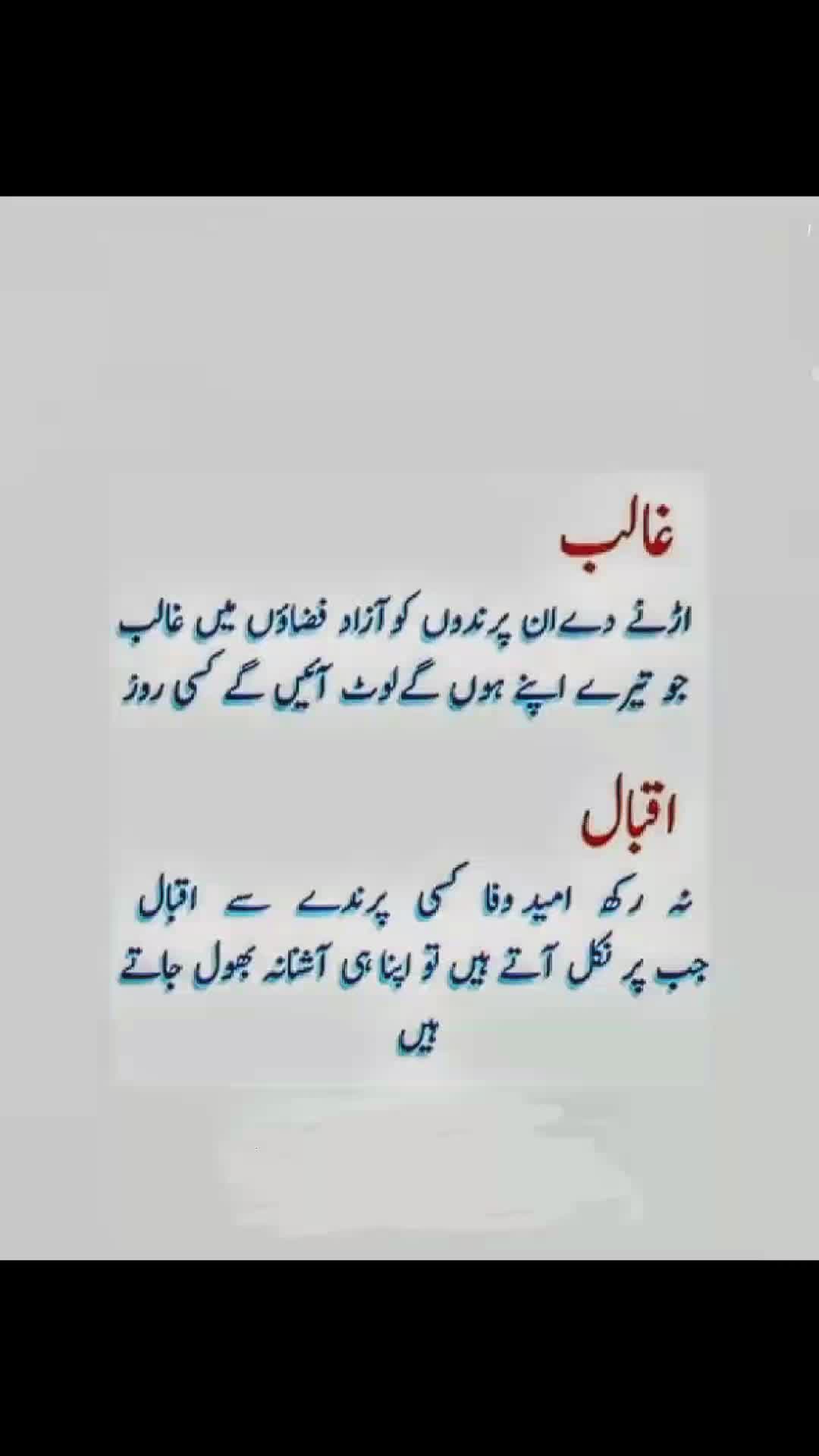@shah