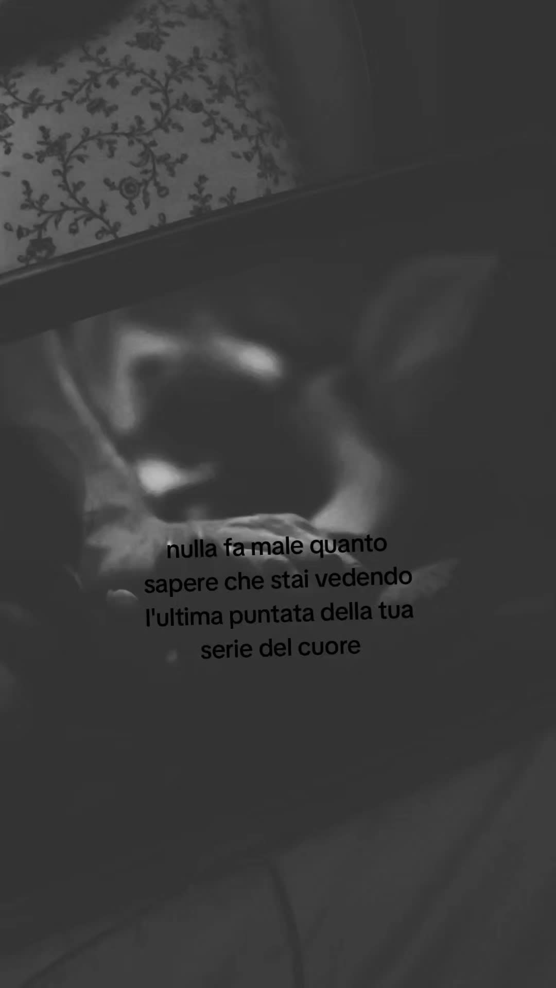 @丰