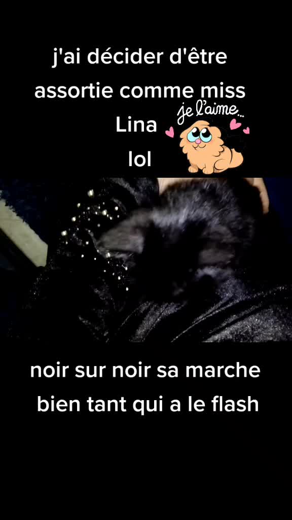 @Lisa ❤❤
