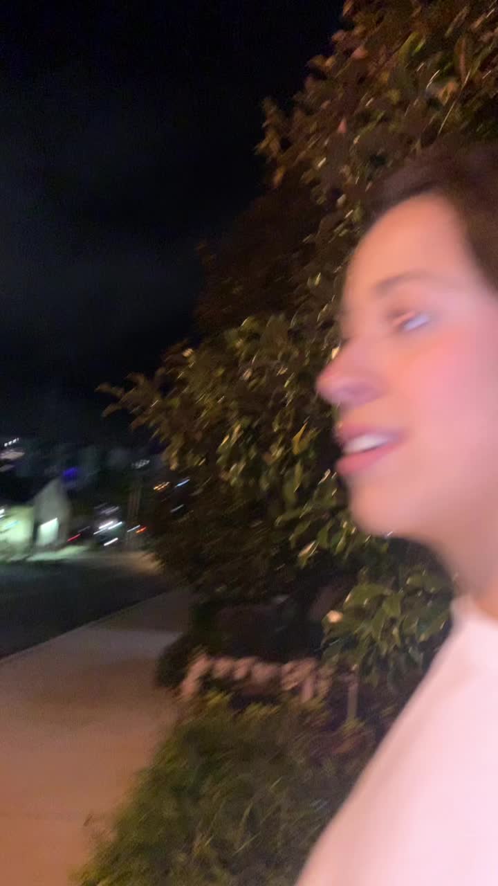 @lexitootle