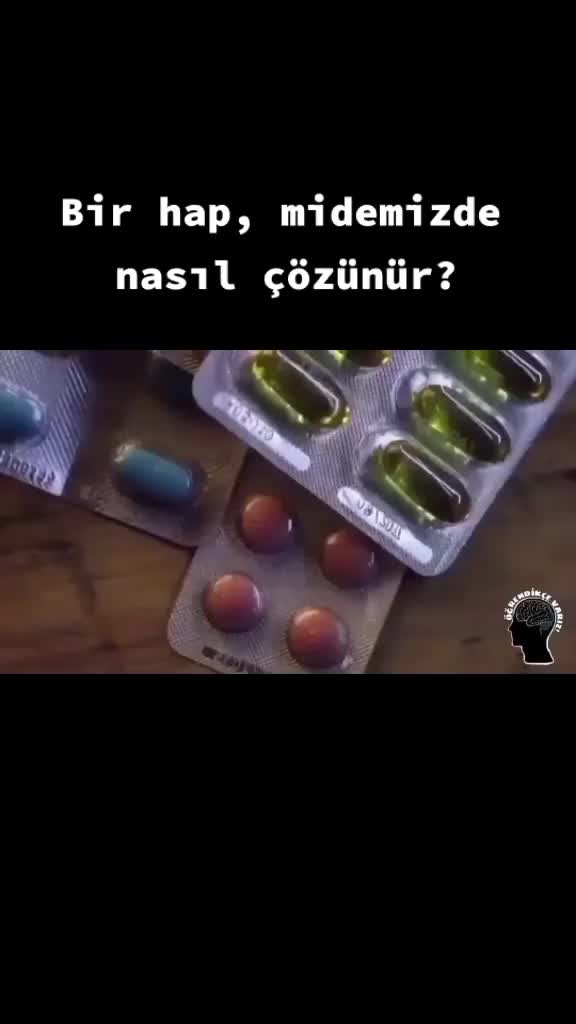 @Bilimsel Paylaşımlar