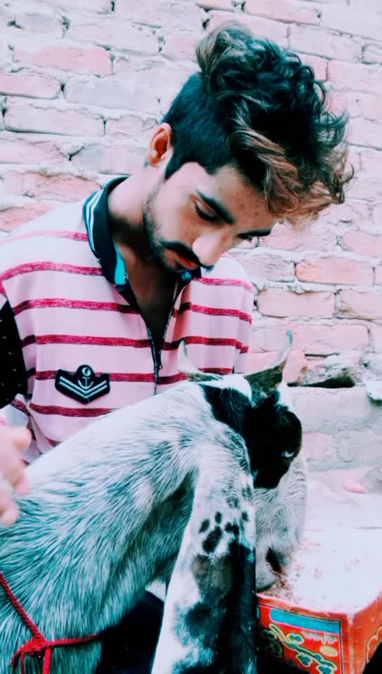 @wajii khan 0