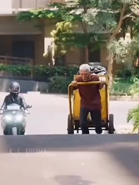 @┈━══━┈