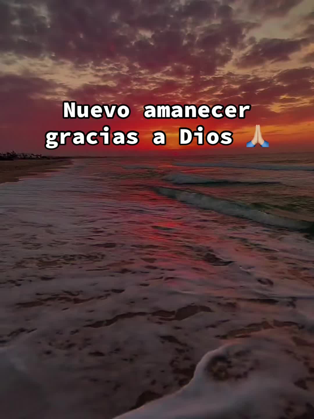 @💜LiLa🐐🌻🐬🐻💚🦔🎥