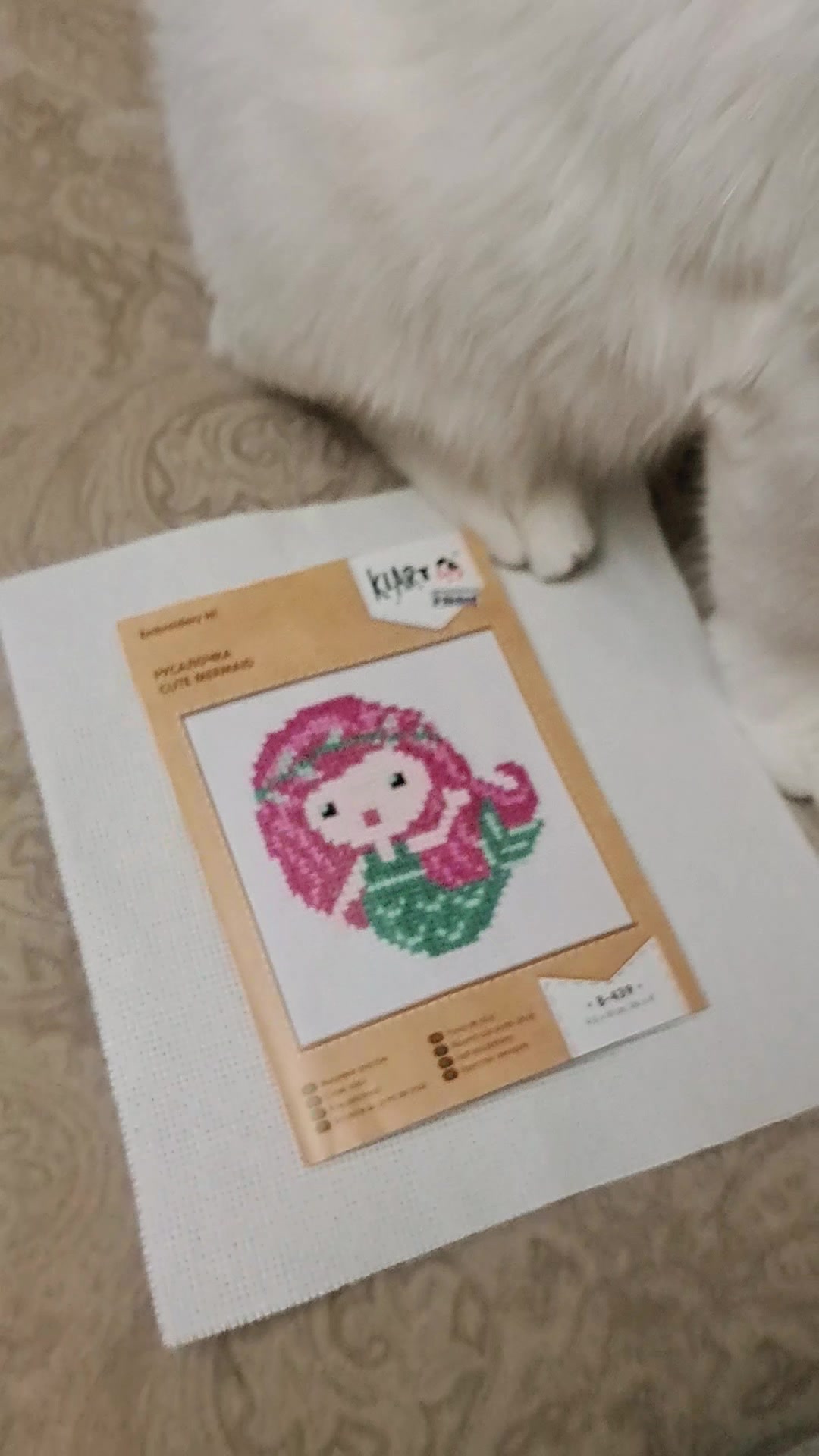@cat_chul
