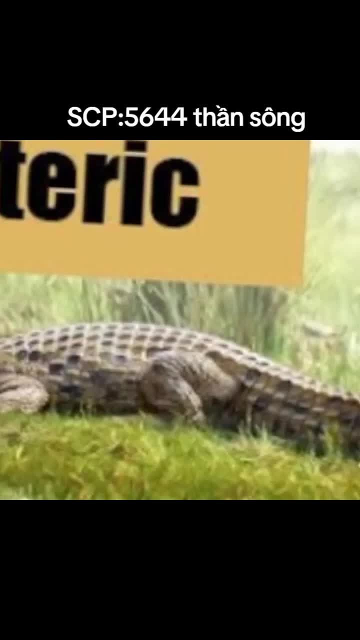 @Ph&aacute;t