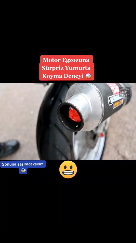 @ANIMASYON DİYARI