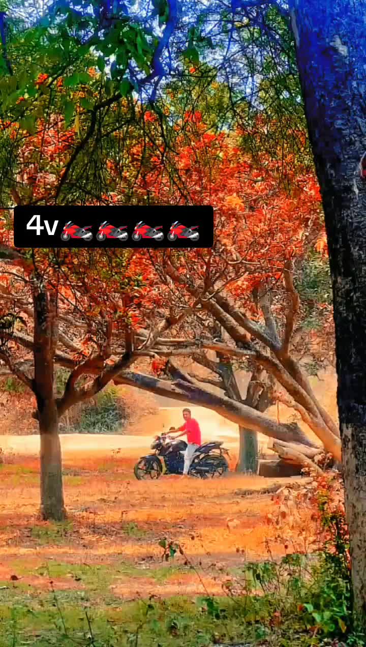 @๐๐ ๐ฑโ๐ดโ๐ปโ๐ชโ๐๐