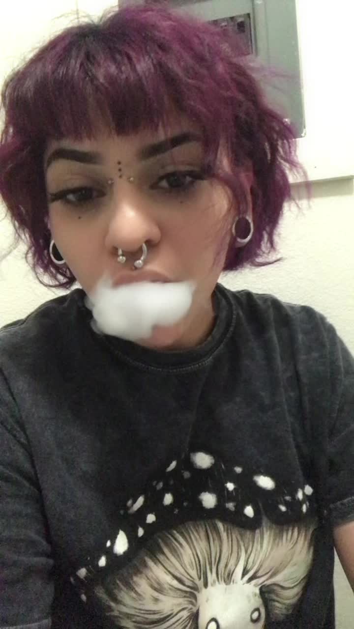 @trippy