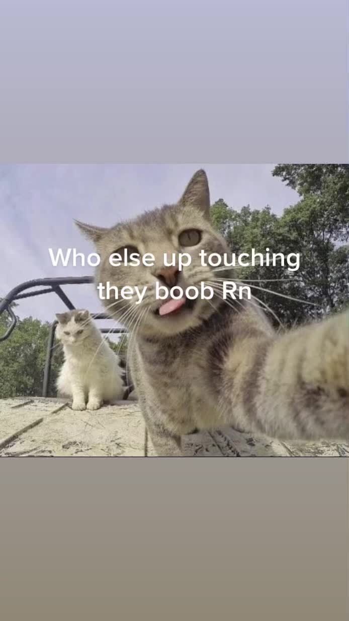 @Deaf phones