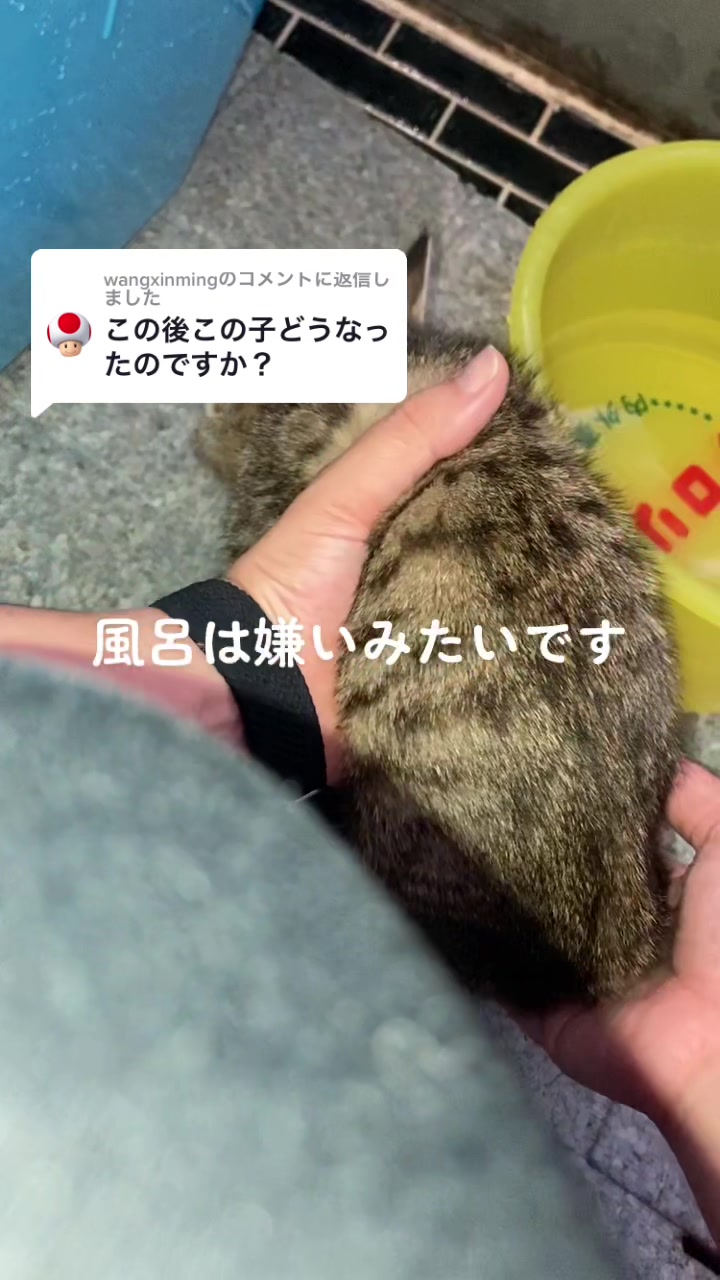 @ひー
