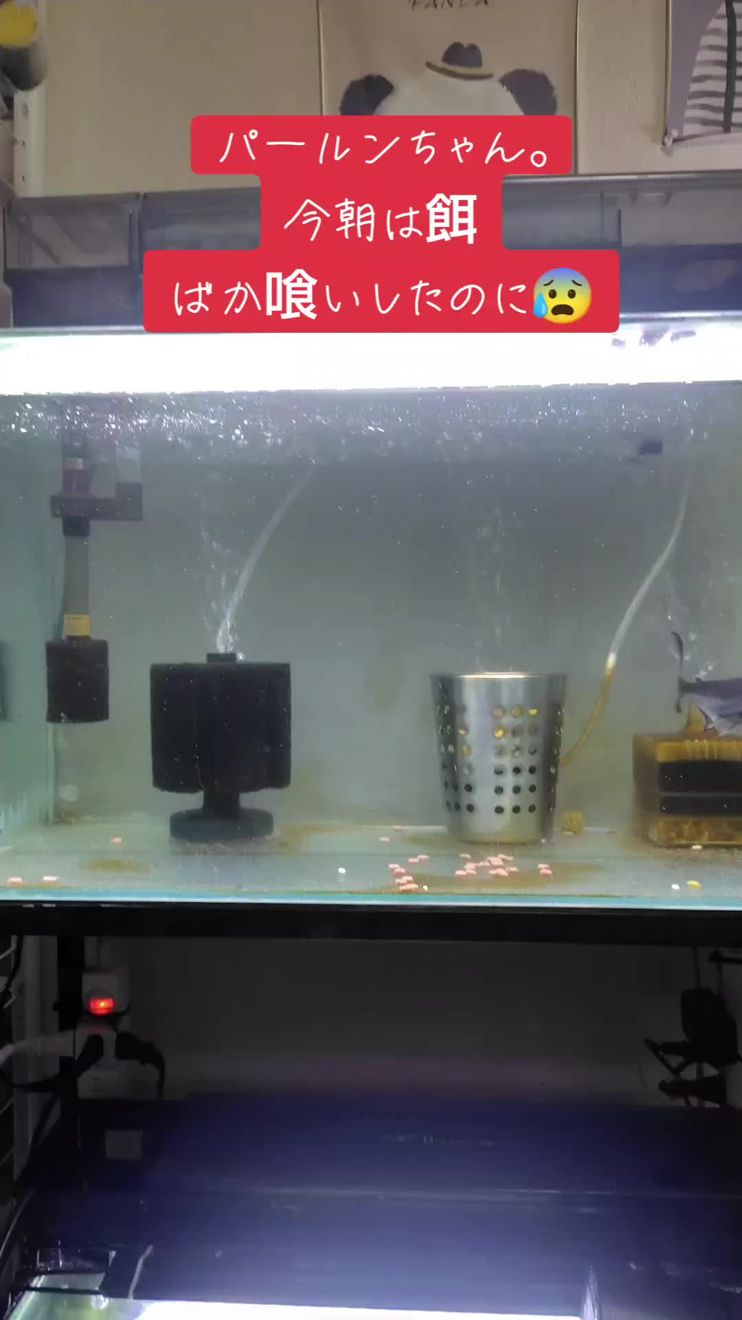 @オギマ