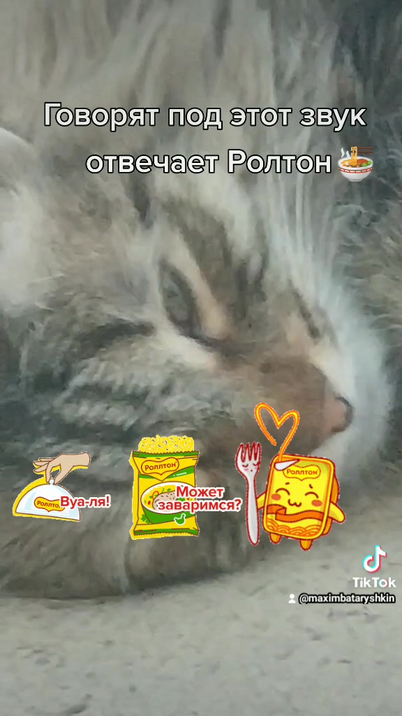 @😎Самый крутой Сигма Гигачад💪